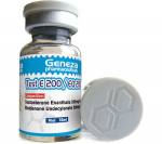 Test E 200mg / EQ 200mg (1 vial)